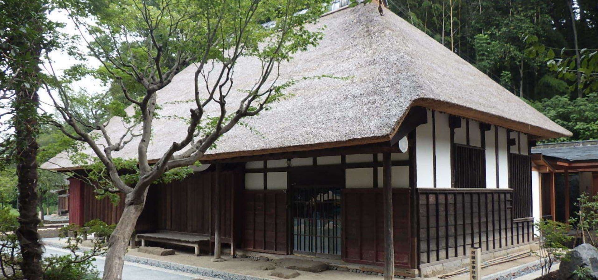 旧藤本家住宅主屋（耐震改修工事）