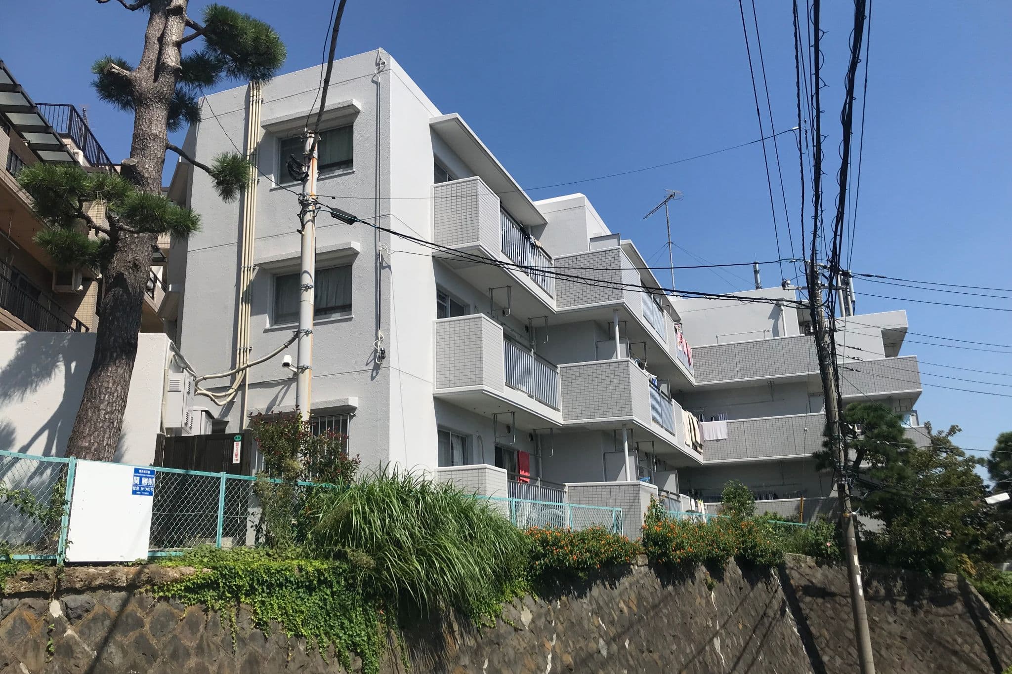 テラスビーライト