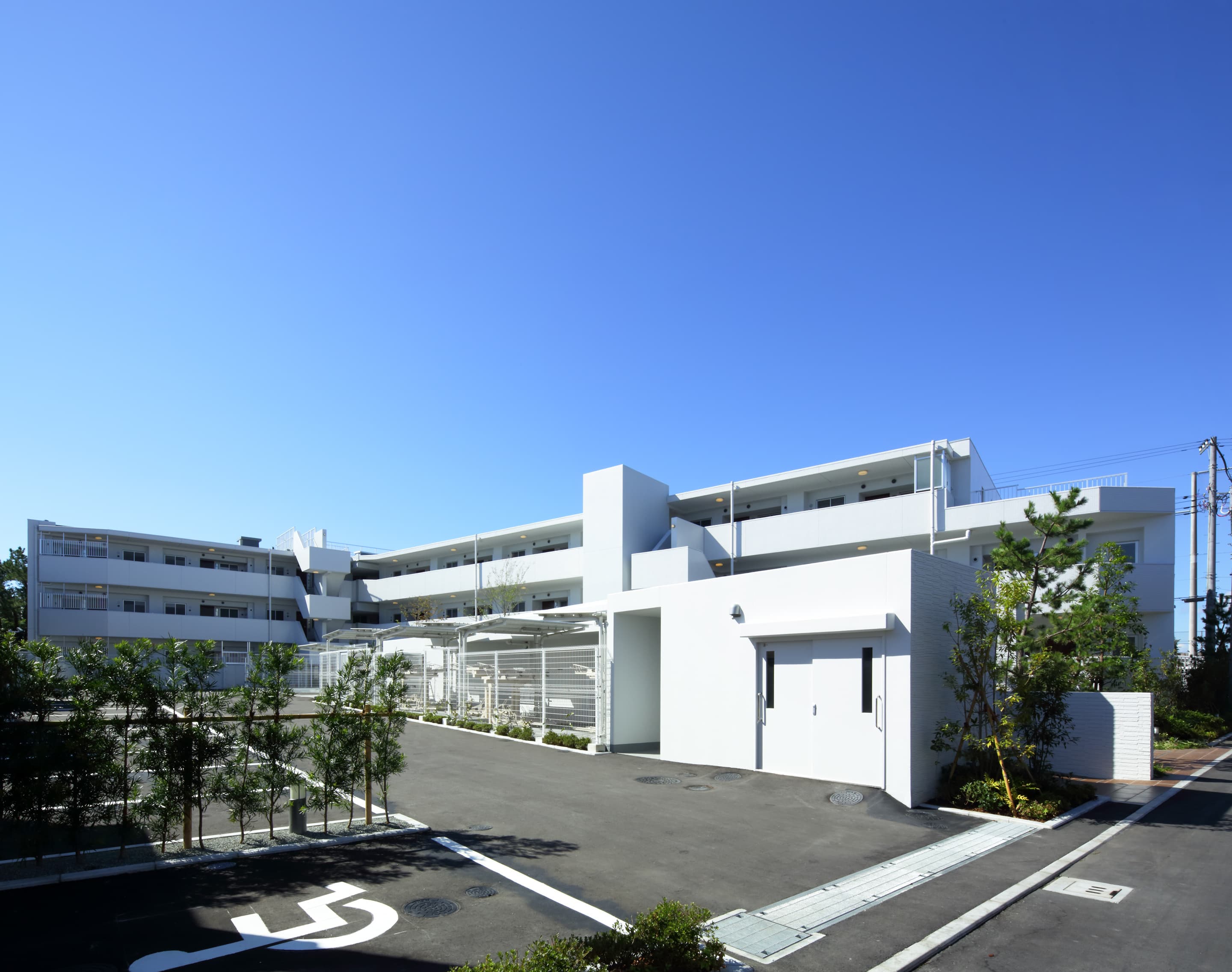 05.jpg