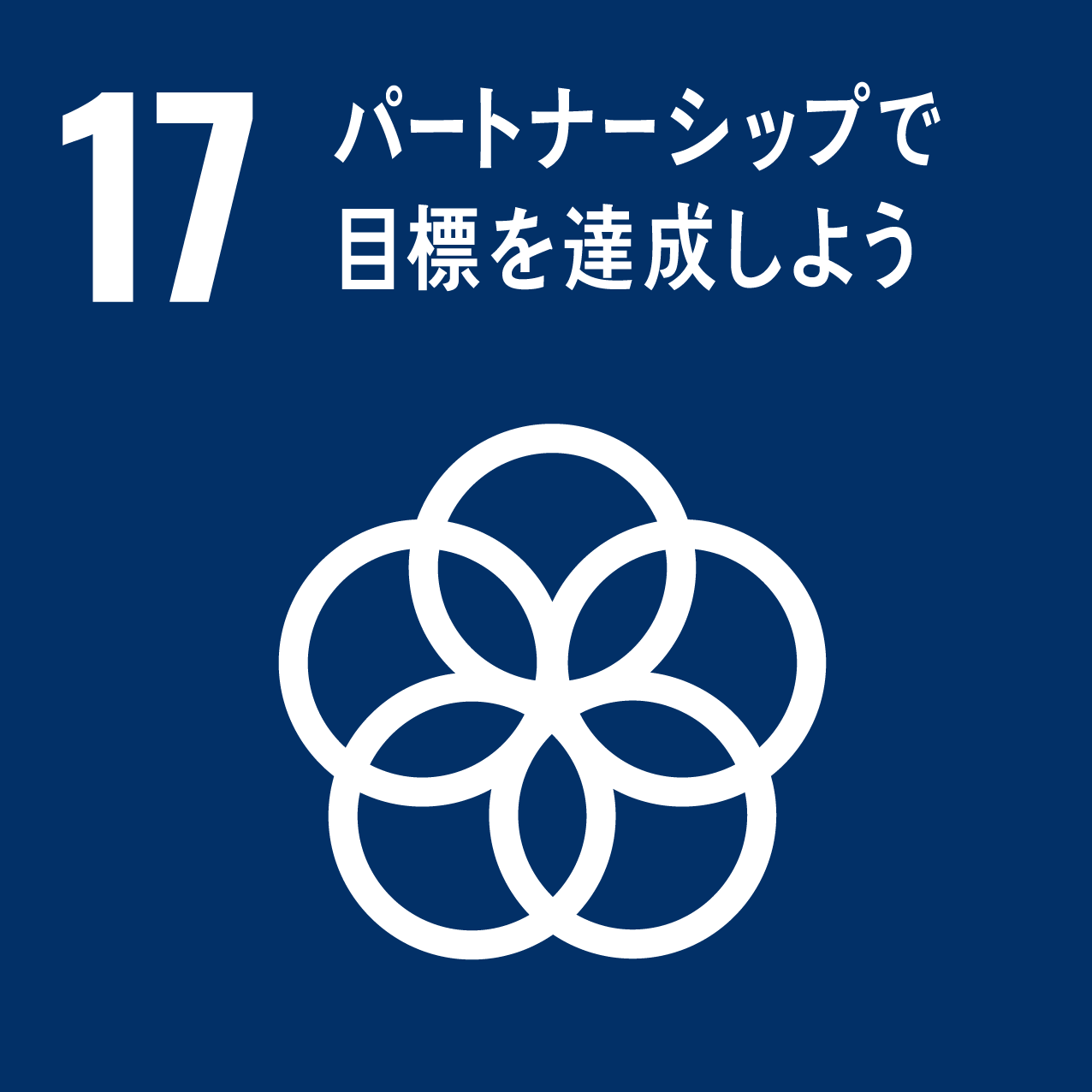 17パートナーシップで目標を達成しよう