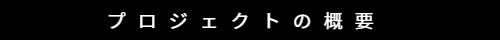 プロジェクトの概要