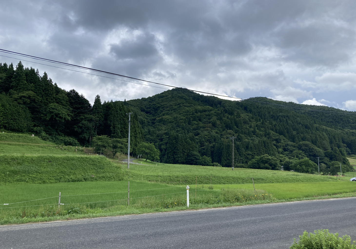 京津畑・まぶちの森遠景